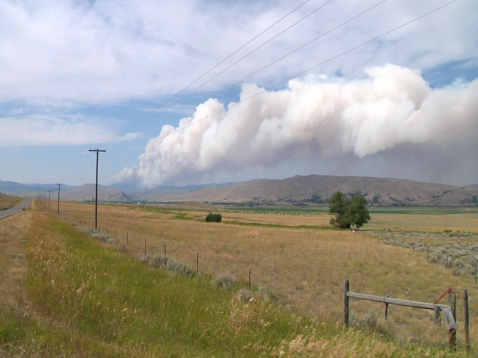 Horsefly Fire